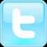 Custom Web Design on Twitter Network
